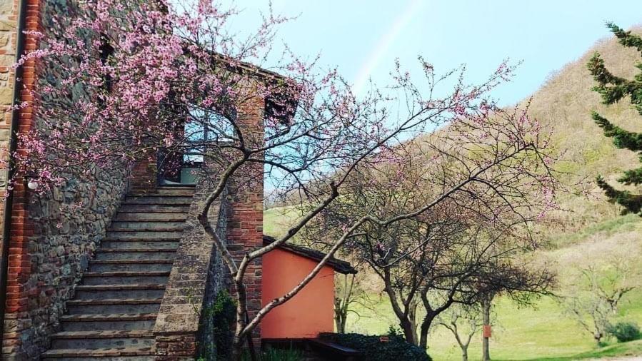 Agriturismo Paradiso41 Asís Exterior foto